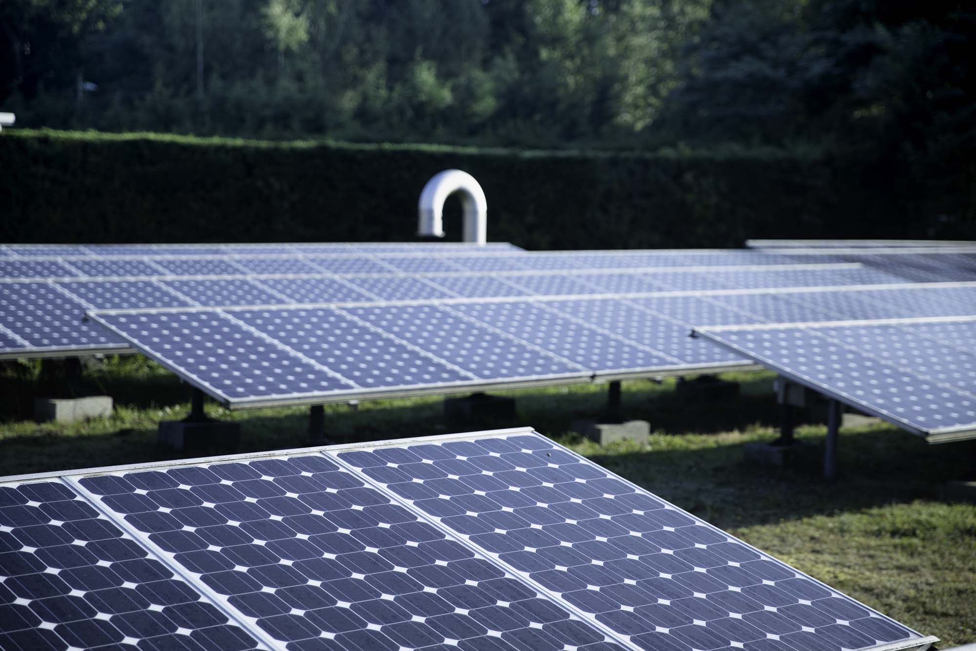 foto zonnepanelen op waterproductiecentrum