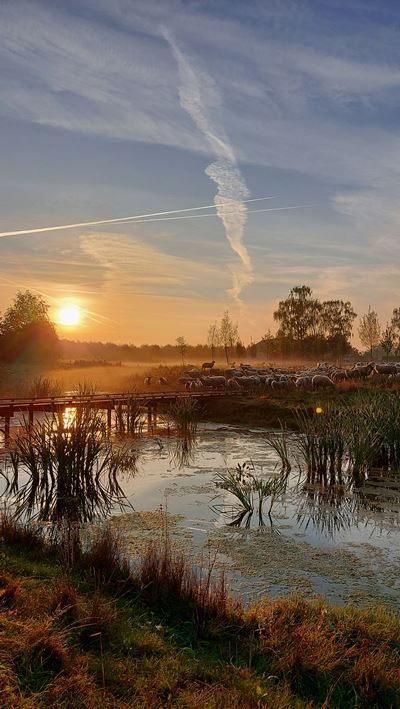 Bufferbekken Borsbeek