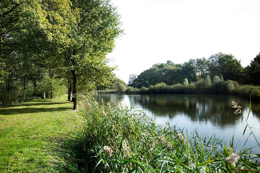 Natuurfoto met water