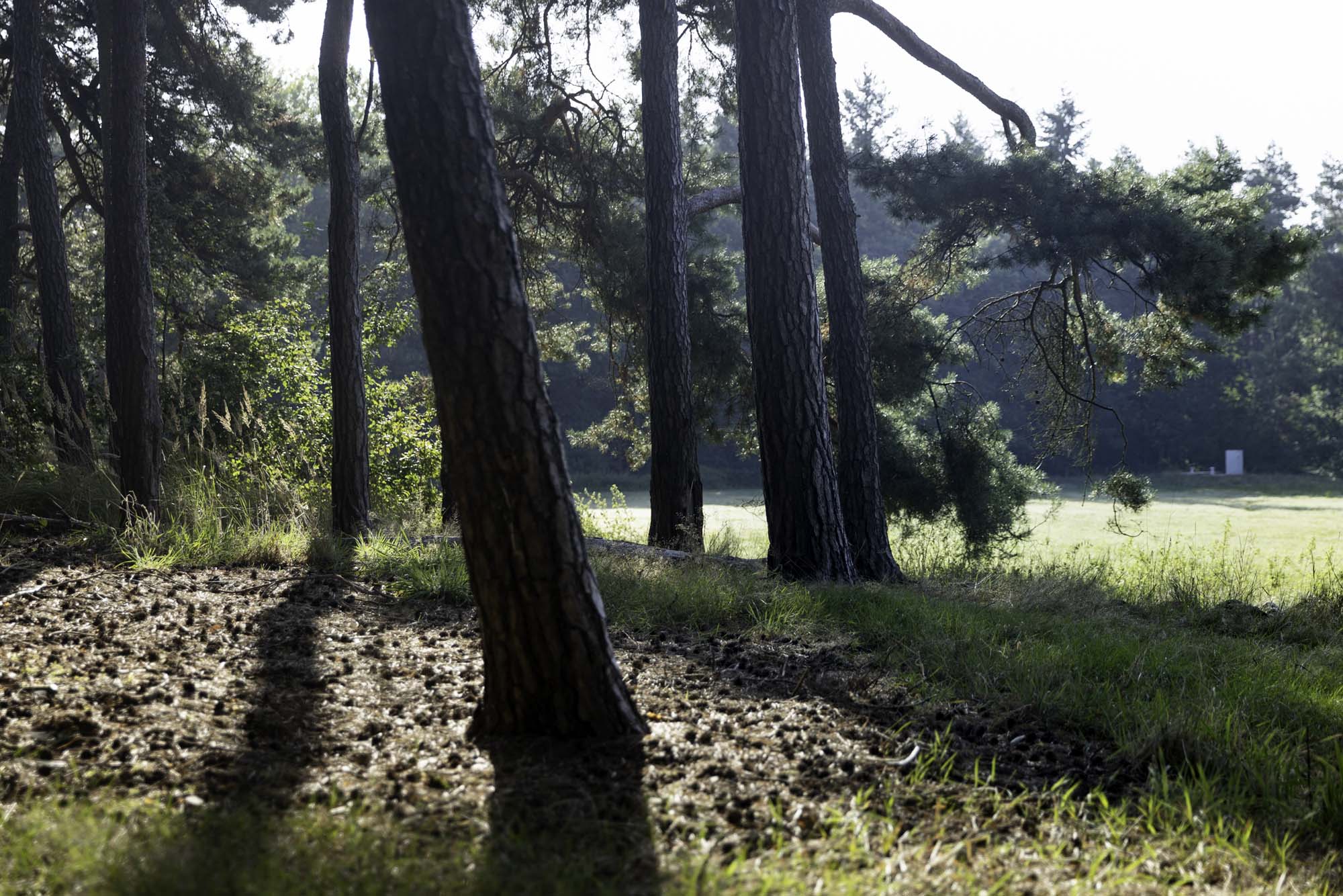 afbeelding water beschermingzone
